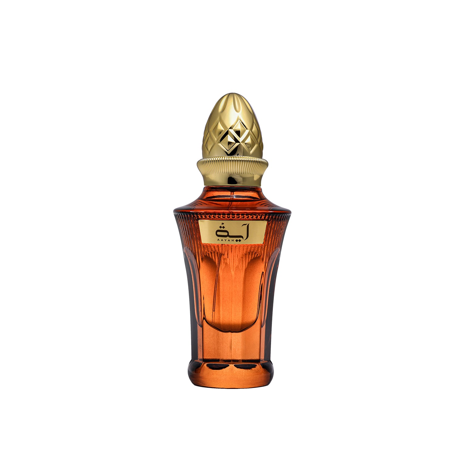 HAYANA 100ML H/B – Ahmed Al Maghribi Canada